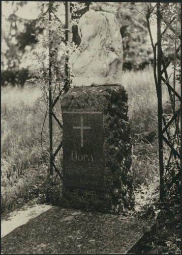 Spomenik na grobu D. Pejačević