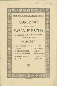 Programi izvedbi (1917.)